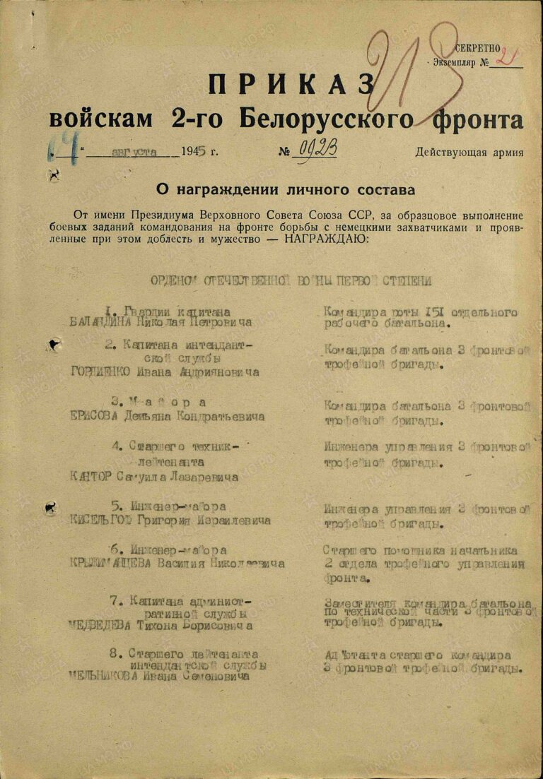 ЦАМО Ф.33 Оп.687572 Д.2497 Л.219