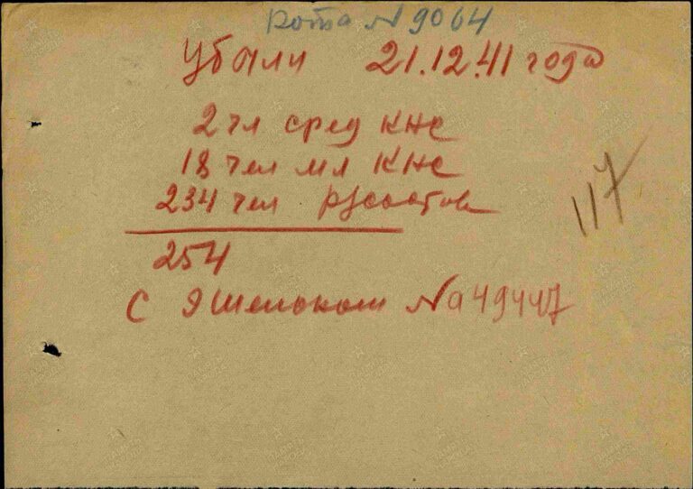 ЦАМО Ф.8391 Оп.294248 Д.4 Л.117