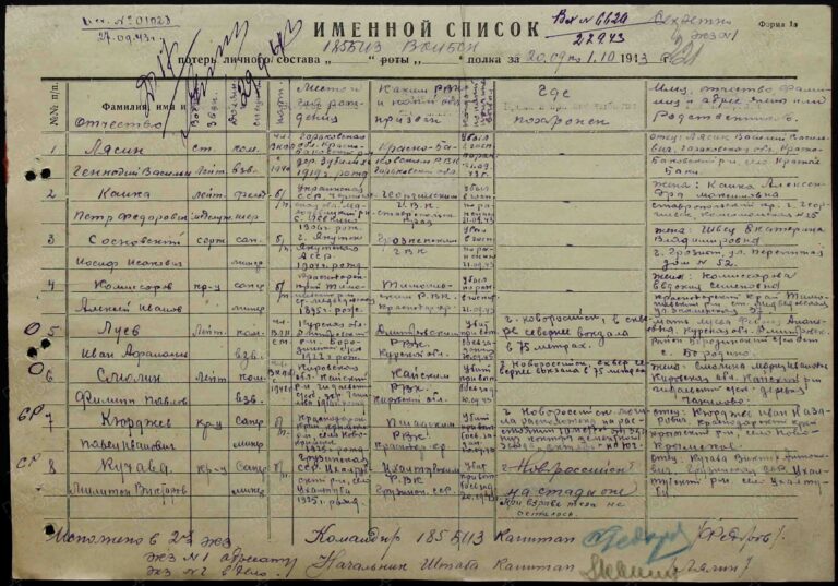 ЦАМО Ф.30408 Оп.2 Д.3 Л.221